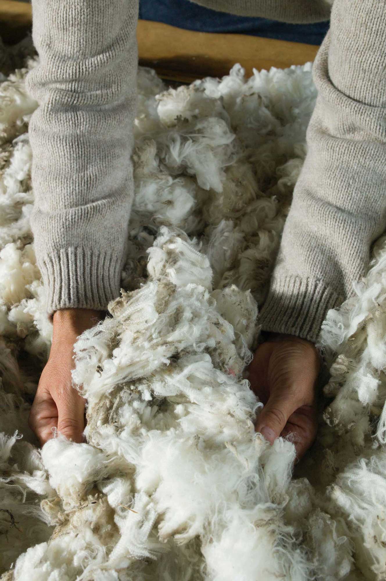 3_polipeli_technology